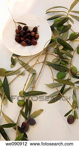 Olives and olive branch View Large Photo Image Stock Image - Olives and olive branch. Fotosearch