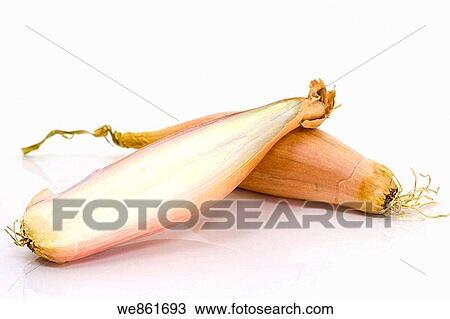 One and a half of shallot on white background View Large Photo Image Stock Image - One and a half of shallot on white background. Fotosearch