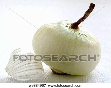 Onion View Large Photo Image Stock Photo - Onion. Fotosearch