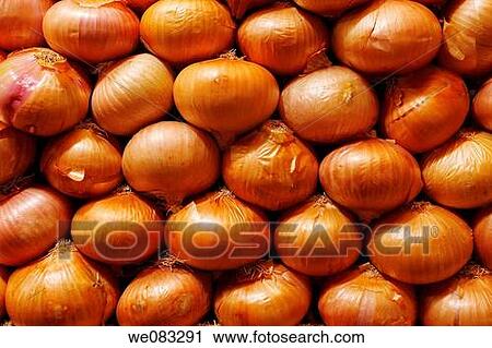 Onions for sale on a market stall View Large Photo Image Stock Image - Onions for sale on a market stall. Fotosearch