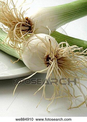 Onions, View Large Photo Image Stock Image - Onions,. Fotosearch