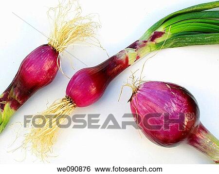 Onions View Large Photo Image Stock Photograph - Onions. Fotosearch