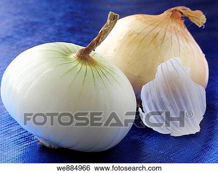 Onions View Large Photo Image Stock Photograph - Onions. Fotosearch