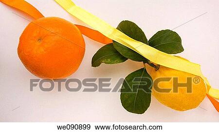 Orange and lemon View Large Photo Image Stock Photo - Orange and lemon. Fotosearch