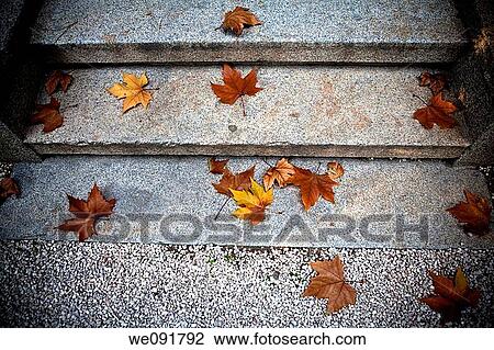 orange, cold, melancholy, loneliness, leave, autumn View Large Photo Image Stock Image - orange, cold, melancholy, loneliness, leave, autumn. Fotosearch