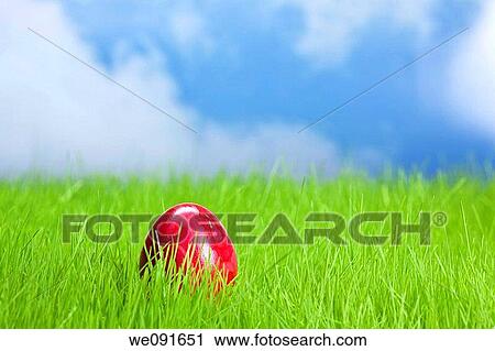 Osterei im Gras mit Himmel / Easter egg on the grassland and the heaven in the background View Large Photo Image Stock Image - Osterei im Gras mit Himmel / Easter egg on the grassland and the heaven in the background. Fotosearch