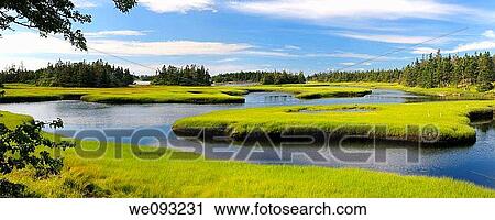 Panorama of tide pool water with salt marsh cordgrass on Cape Sable Island Nova Scotia View Large Photo Image Stock Image - Panorama of tide pool water with salt marsh cordgrass on Cape Sable Island Nova Scotia. Fotosearch