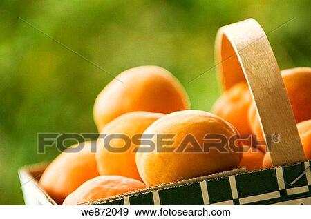Paper Basket Full of Ripe Apricots View Large Photo Image Stock Photo - Paper Basket Full of Ripe Apricots. Fotosearch