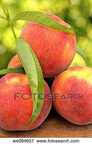 Peaches View Large Photo Image Stock Photo - Peaches. Fotosearch