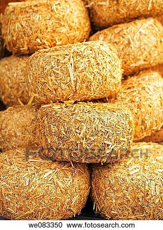 Pecorino cheese, Italy View Large Photo Image Stock Image - Pecorino cheese, Italy. Fotosearch