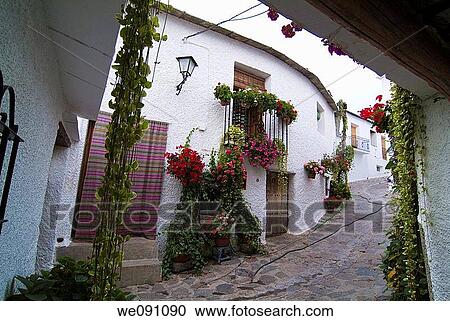 People of Bubi? n. Alpujarra Granadina. Sierra Nevada. Granada. Andalucia. Spain. View Large Photo Image Stock Image - People of Bubi? n. Alpujarra Granadina. Sierra Nevada. Granada. Andalucia. Spain.. Fotosearch