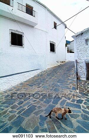 People of Bubi? n. Alpujarra Granadina. Sierra Nevada. Granada. Andalucia. Spain. View Large Photo Image Stock Image - People of Bubi? n. Alpujarra Granadina. Sierra Nevada. Granada. Andalucia. Spain.. Fotosearch