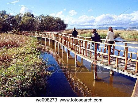 Stock Image - People walking along the catwalk. Tablas de Daimiel National Park, Ciudad Real province, Castilla La Mancha, Spain.. Fotosearch