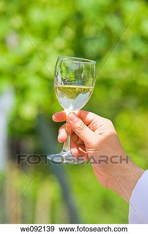 Person holding glass of white wine View Large Photo Image Stock Photo - Person holding glass of white wine. Fotosearch