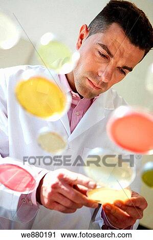 Petri dishes, Physical Chemical Laboratory, Azti-Tecnalia, Marine and Food Research Technological Centre, Derio, Biscay, Basque Country, Spain View Large Photo Image Stock Image - Petri dishes, Physical Chemical Laboratory, Azti-Tecnalia, Marine and Food Research Technological Centre, Derio, Biscay, Basque Country, Spain. Fotosearch