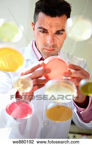 Petri dishes, Physical Chemical Laboratory, Azti-Tecnalia, Marine and Food Research Technological Centre, Derio, Biscay, Basque Country, Spain View Large Photo Image Stock Image - Petri dishes, Physical Chemical Laboratory, Azti-Tecnalia, Marine and Food Research Technological Centre, Derio, Biscay, Basque Country, Spain. Fotosearch