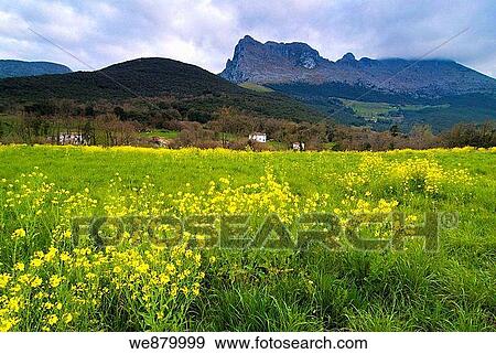 Stock Photo - Pico San Vicente in Ramales de la Victoria, Cantabria. Spain.. Fotosearch