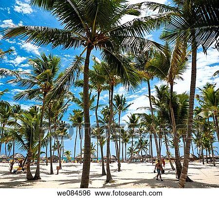 Playas Punta Cana, Rep·blica Dominicana View Large Photo Image Stock Photograph - Playas Punta Cana, Rep·blica Dominicana. Fotosearch