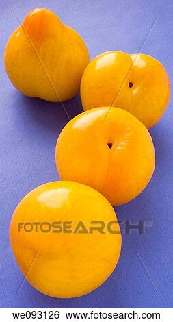 plums, View Large Photo Image Stock Photograph - plums,. Fotosearch