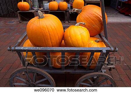 Pumpkins for Sale, Lewes, England View Large Photo Image Stock Image - Pumpkins for Sale, Lewes, England. Fotosearch