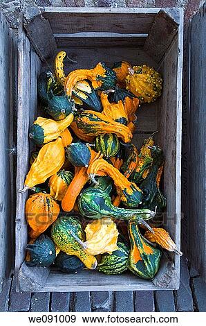 Pumpkins in wooden crate, overhead view View Large Photo Image Stock Photo - Pumpkins in wooden crate, overhead view. Fotosearch