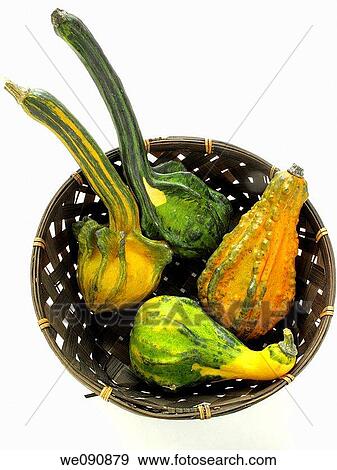 Stock Photo - Pumpkins. Fotosearch