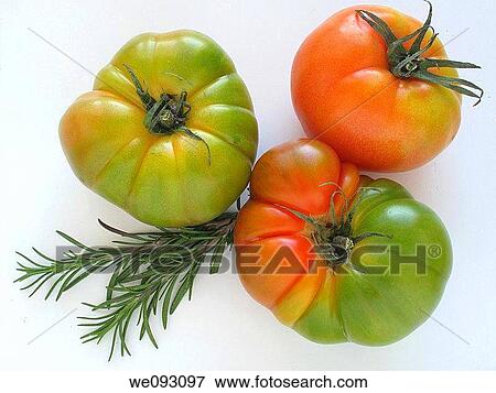 Raff tomatoes and rosemary View Large Photo Image Stock Photo - Raff tomatoes and rosemary. Fotosearch