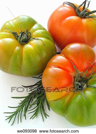 Stock Photo - Raff tomatoes and rosemary. Fotosearch