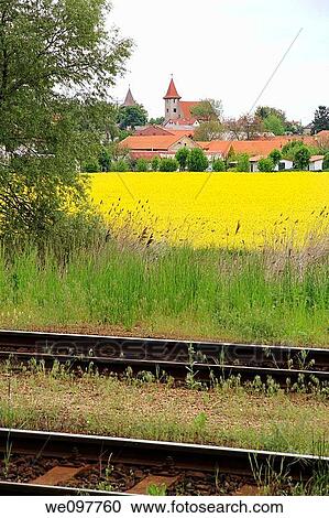 Stock Image - Rape fields in blossom, Kutna Hora, Czech Republic. Fotosearch