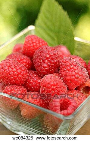 Stock Photography - Raspberries (Rubus idaeus). Fotosearch