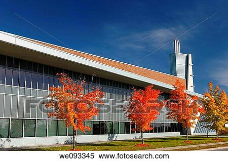 Red maple trees and modern architecture of Seneca College York University Stephen E Quinlan Building View Large Photo Image Stock Photography - Red maple trees and modern architecture of Seneca College York University Stephen E Quinlan Building. Fotosearch