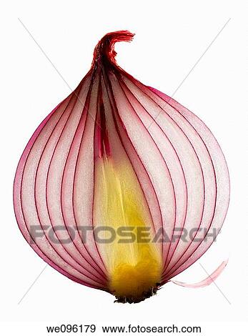Stock Photo - Red Onion. Fotosearch