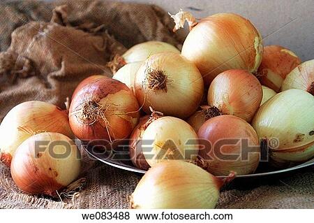 Red Onions in dish View Large Photo Image Stock Photo - Red Onions in dish. Fotosearch