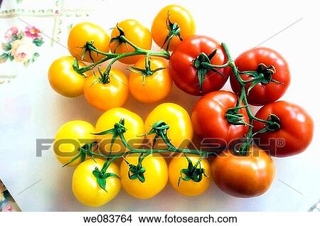 Picture - Red, Orange and Yellow Tomatos Captured on a Cutting Board. Solanum lycopersicon.. Fotosearch