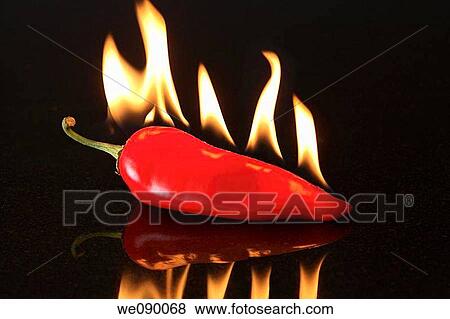 Red pepper with flames View Large Photo Image Stock Photo - Red pepper with flames. Fotosearch