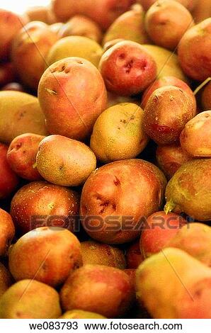 Stock Image - Red Potatoes on Sale on Farmer Market. Solanum tuberosum.. Fotosearch