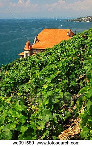 Stock Photo - Red roof and picturesque tower of the wine-growing estate Clos des Abbayes in the vineyards of the UNESCO World Heritage site Lavaux at Lake Leman, Vaud, Switzerland. Fotosearch