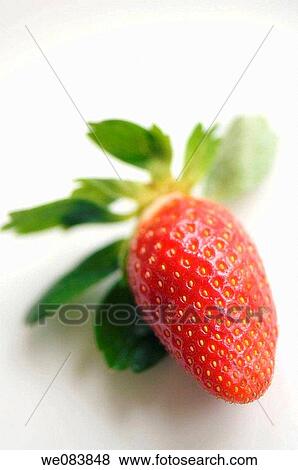 Red Strawberry, White Background. Fragaria ananassa View Large Photo Image Stock Photo - Red Strawberry, White Background. Fragaria ananassa. Fotosearch