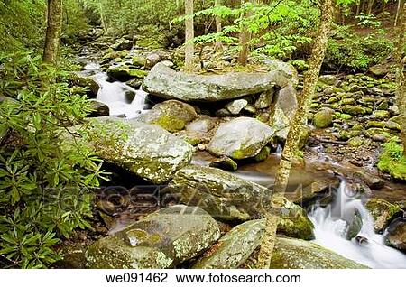 Stock Image - Roaring Fork, Springtime, Great Smoky Mtns Nat Park, TN, Stream. Fotosearch
