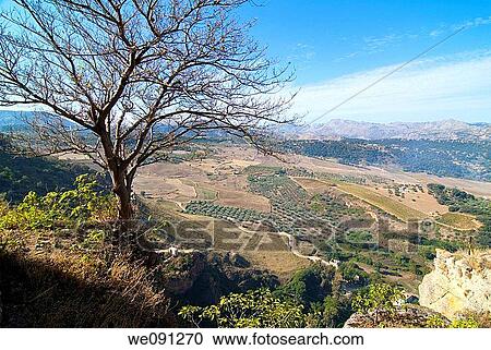 Ronda. Malaga. Andalucia. Spain. View Large Photo Image Stock Image - Ronda. Malaga. Andalucia. Spain.. Fotosearch