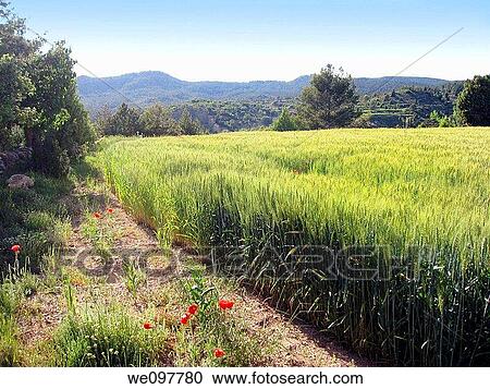 Rubielos de Mora country Gudar mountains Teruel province Aragon Spain Europe View Large Photo Image Stock Image - Rubielos de Mora country Gudar mountains Teruel province Aragon Spain Europe. Fotosearch