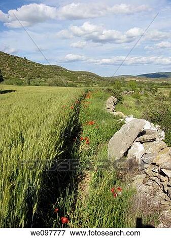 Rubielos de Mora country, Gudar mountains, Teruel province, Aragon, Spain, Europe View Large Photo Image Stock Photo - Rubielos de Mora country, Gudar mountains, Teruel province, Aragon, Spain, Europe. Fotosearch