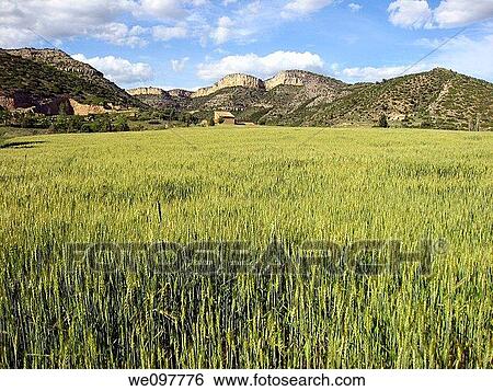 Rubielos de Mora country, Gudar mountains, Teruel province, Aragon, Spain, Europe View Large Photo Image Stock Photograph - Rubielos de Mora country, Gudar mountains, Teruel province, Aragon, Spain, Europe. Fotosearch