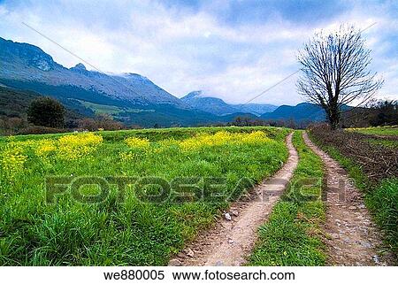 Rural landscape, Ramales de la Victoria, Cantabria, Spain View Large Photo Image Stock Photography - Rural landscape, Ramales de la Victoria, Cantabria, Spain. Fotosearch