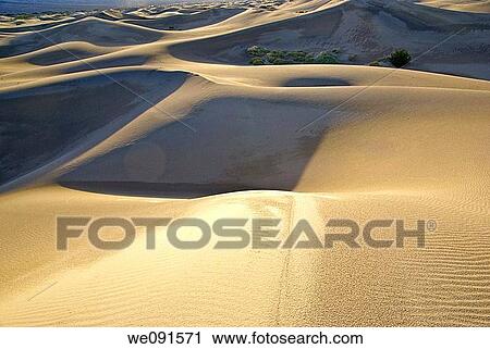 Sand dunes glow at sunset in Death Valley, California View Large Photo Image Stock Image - Sand dunes glow at sunset in Death Valley, California. Fotosearch