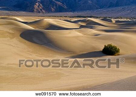 Sand dunes in Death Valley, California View Large Photo Image Stock Image - Sand dunes in Death Valley, California. Fotosearch