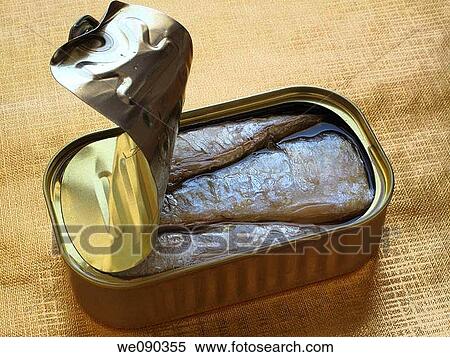 Sardine tin View Large Photo Image Stock Photography - Sardine tin. Fotosearch