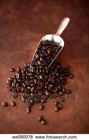 Scoop of coffee beans View Large Photo Image Stock Photo - Scoop of coffee beans. Fotosearch