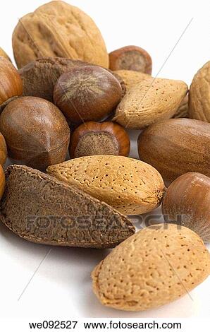 selection of nuts - walnuts, brazils, almonds, pecan and hazelnuts View Large Photo Image Stock Photo - selection of nuts - walnuts, brazils, almonds, pecan and hazelnuts. Fotosearch