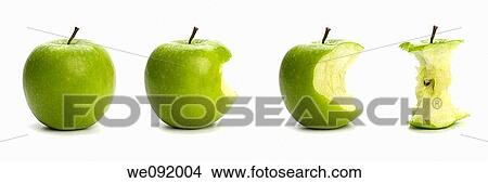 Sequence of Granny Smith apple being eaten View Large Photo Image Picture - Sequence of Granny Smith apple being eaten. Fotosearch